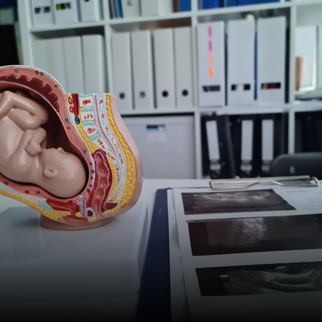 Ab0rt0: OAB cria comissão para elaborar parecer sobre PL.1.904/2024